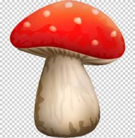 Ядовитый красный гриб с белыми точками Png клипарт,Красный гриб Png png  бесплатная загрузка - Key0